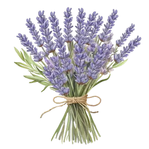 Free Floral Clipart